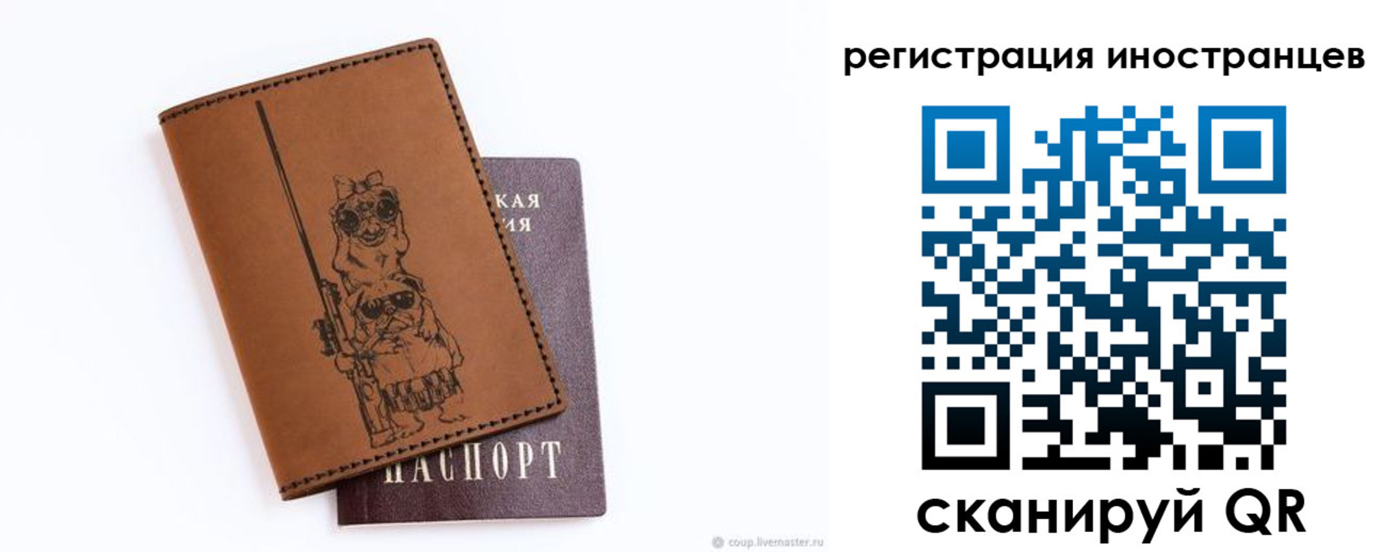 прописка гарантия в Сорочинске